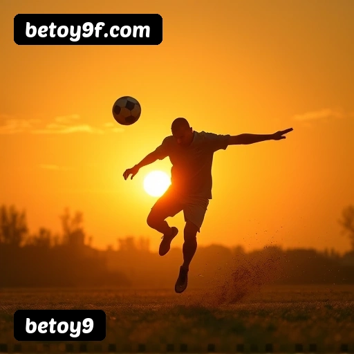 Níveis do programa VIP da betoy9